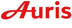 شركة أوريس لتأجير السيارات - logo